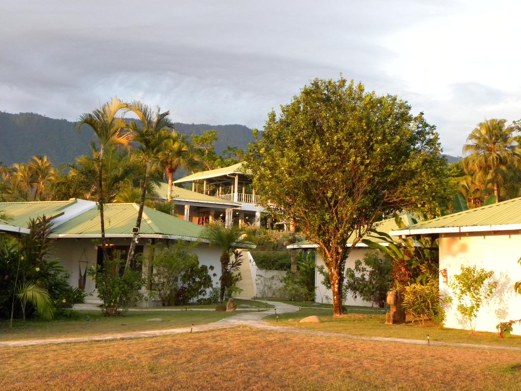Hotel Lookout Playa Tortuga 奥霍查尔 外观 照片
