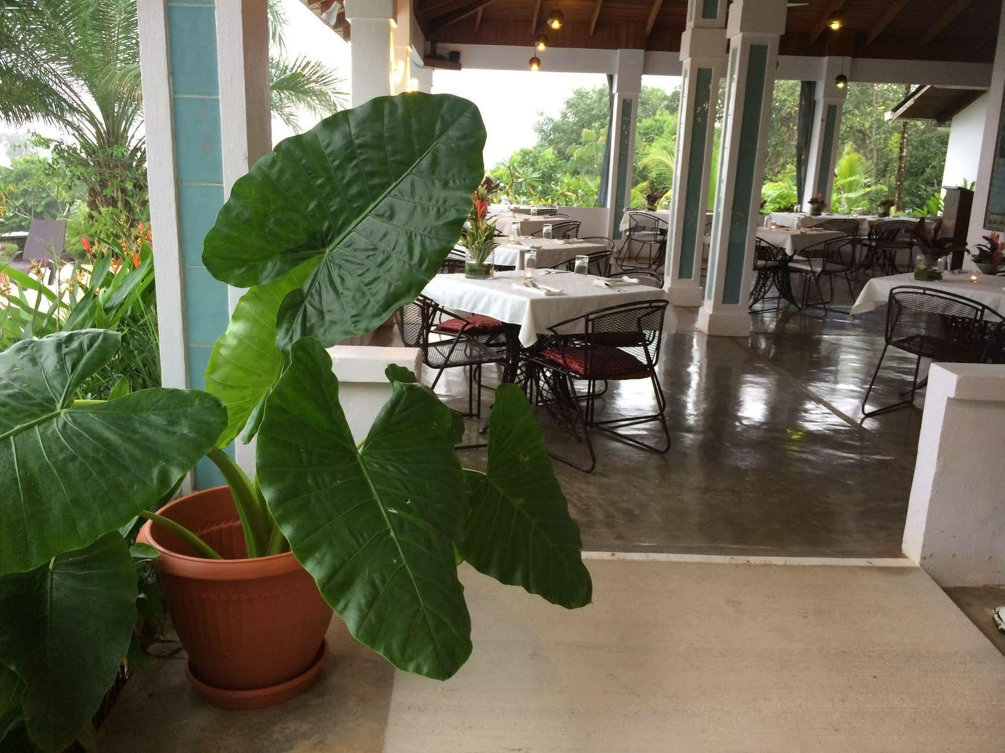 Hotel Lookout Playa Tortuga 奥霍查尔 外观 照片